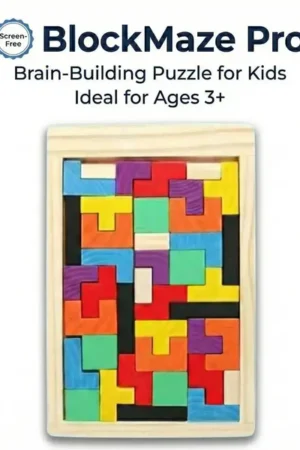 BlockMaze Pro By PlayZio